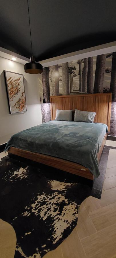 Hotel La Cazona Boutique La Barca エクステリア 写真